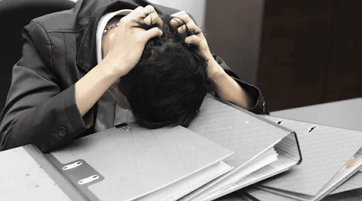 5 problemas que as pragas podem trazer para o seu negócio