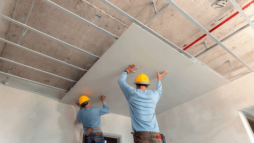 Como acabar com os ratos em cima do forro