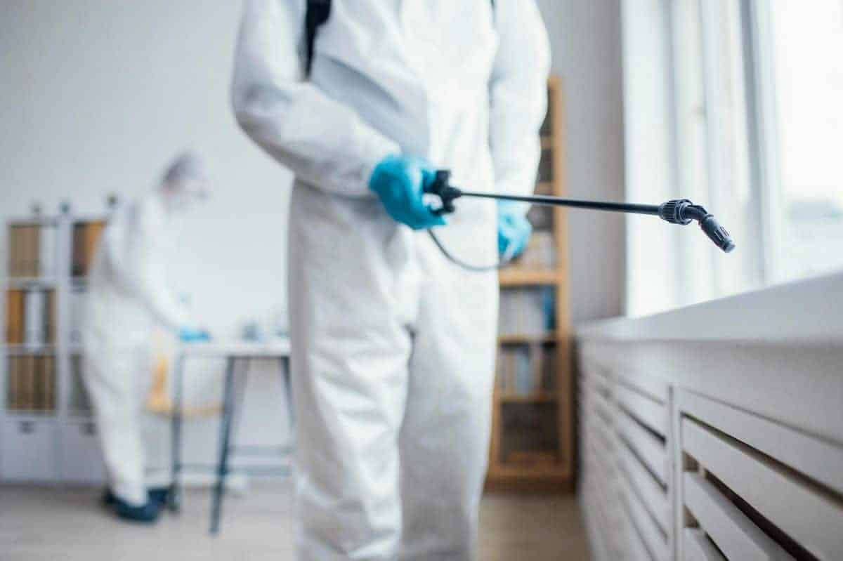Dedetização é perigosa para os eletrodomésticos?